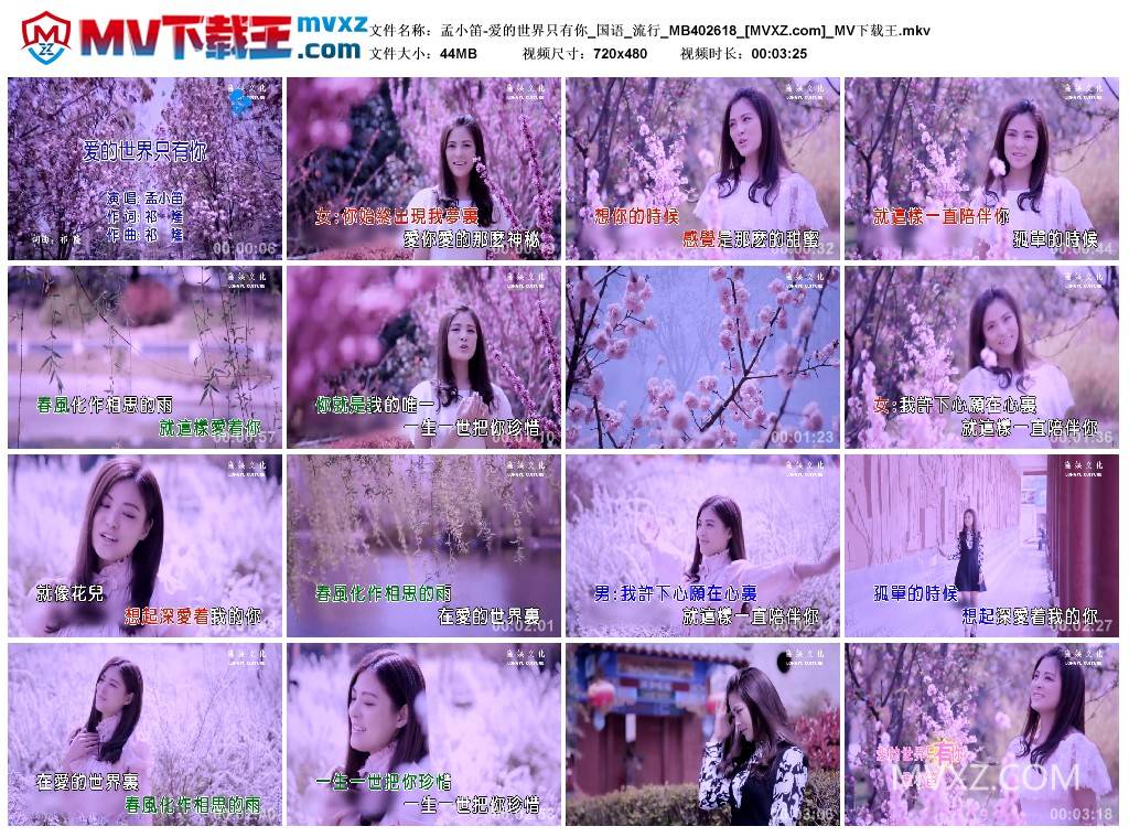 孟小笛-爱的世界只有你_国语_流行_MB402618